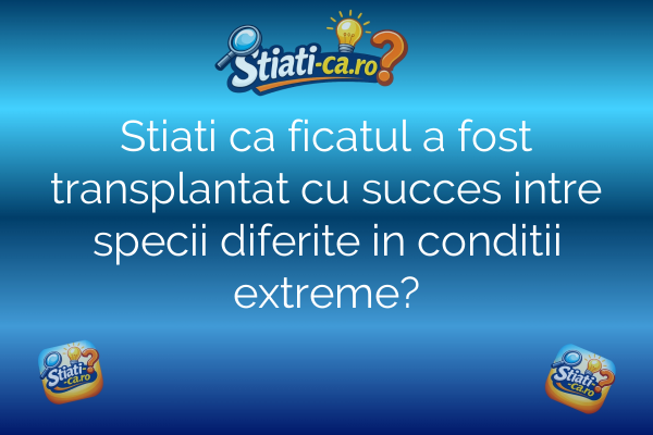Stiati ca ficatul a fost transplantat cu succes intre specii diferite in conditii extreme?