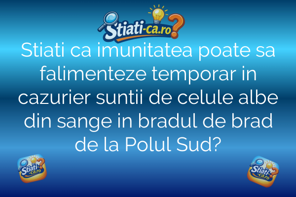 Stiati ca imunitatea poate sa falimenteze temporar in cazurier suntii de celule albe din sange in bradul de brad de la Polul Sud?