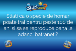Știință Stiati ca o specie de homar poate trai pentru peste 100 de ani si sa se reproduce pana la adanci batraneti?