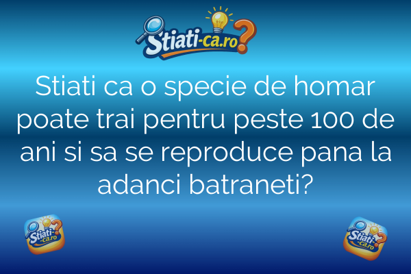 Stiati ca o specie de homar poate trai pentru peste 100 de ani si sa se reproduce pana la adanci batraneti?