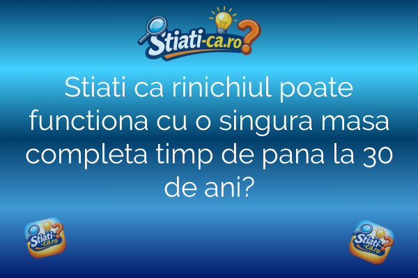 Stiati ca rinichiul poate functiona cu o singura masa completa timp de pana la 30 de ani?