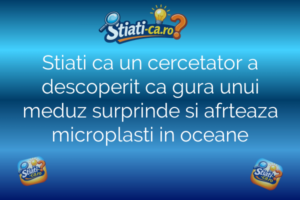 Știință Stiati ca un cercetator a descoperit ca gura unui meduz surprinde si afrteaza microplasti in oceane