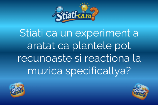 Stiati ca un experiment a aratat ca plantele pot recunoaste si reactiona la muzica specificallya?