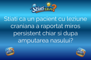 Stiati ca un pacient cu leziune craniana a raportat miros persistent chiar si dupa amputarea nasului?