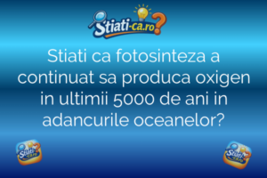 Stiati ca fotosinteza a continuat sa produca oxigen in ultimii 5000 de ani in adancurile oceanelor?