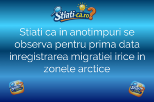 Natura și animale Stiati ca in anotimpuri se observa pentru prima data inregistrarea migratiei irice in zonele arctice
