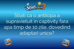 Știință Stiati ca o antilopa a supravietuit in captivity fara apa timp de 10 zile, dovedind adaptari unice?