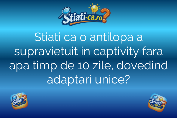 Stiati ca o antilopa a supravietuit in captivity fara apa timp de 10 zile, dovedind adaptari unice?
