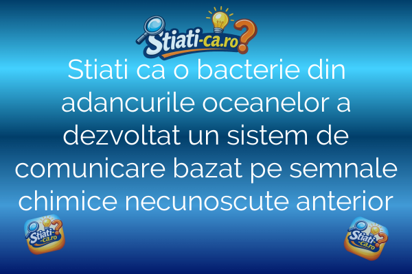 Stiati ca o bacterie din adancurile oceanelor a dezvoltat un sistem de comunicare bazat pe semnale chimice necunoscute anterior
