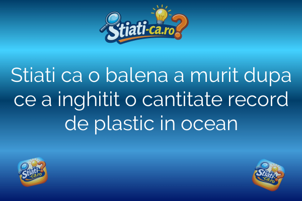 Stiati ca o balena a murit dupa ce a inghitit o cantitate record de plastic in ocean