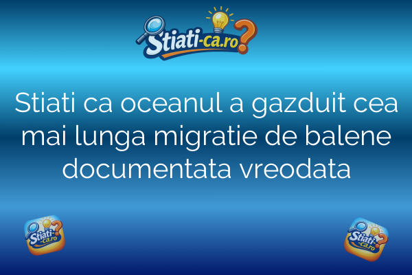 Stiati ca oceanul a gazduit cea mai lunga migratie de balene documentata vreodata