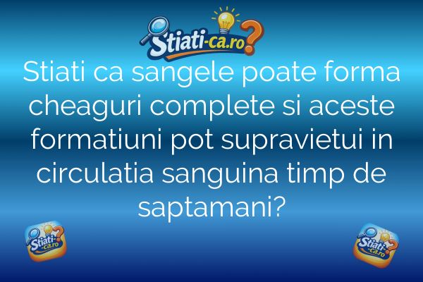Stiati ca sangele poate forma cheaguri complete si aceste formatiuni pot supravietui in circulatia sanguina timp de saptamani?