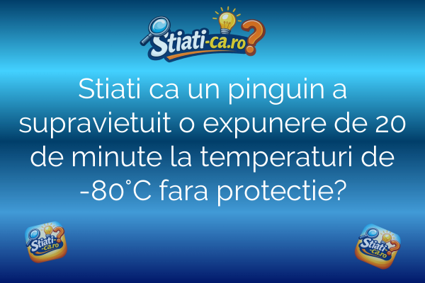 Stiati ca un pinguin a supravietuit o expunere de 20 de minute la temperaturi de -80°C fara protectie?