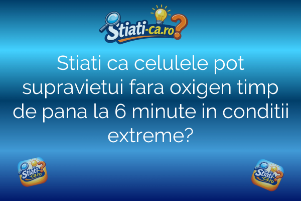 Stiati ca celulele pot supravietui fara oxigen timp de pana la 6 minute in conditii extreme?