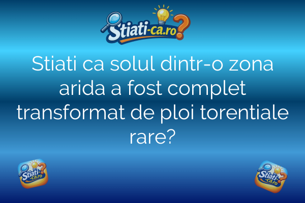 Stiati ca solul dintr-o zona arida a fost complet transformat de ploi torentiale rare?