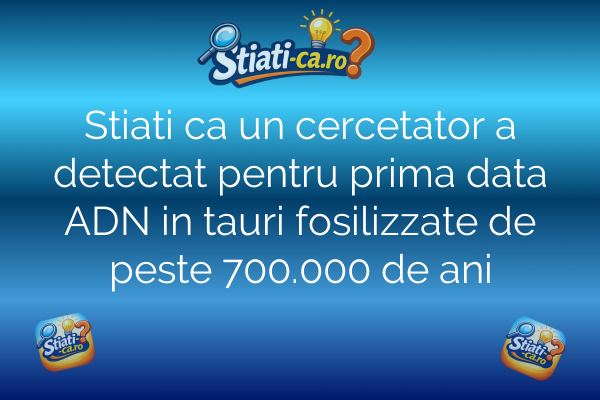 Stiati ca un cercetator a detectat pentru prima data ADN in tauri fosilizzate de peste 700.000 de ani