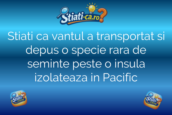 Stiati ca vantul a transportat si depus o specie rara de seminte peste o insula izolateaza in Pacific